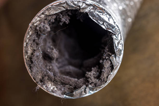 Best Dryer Vent Cleaning Services  in Delaware, OH