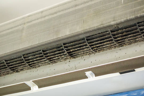 Best HVAC Duct Inspection Services  in Delaware, OH
